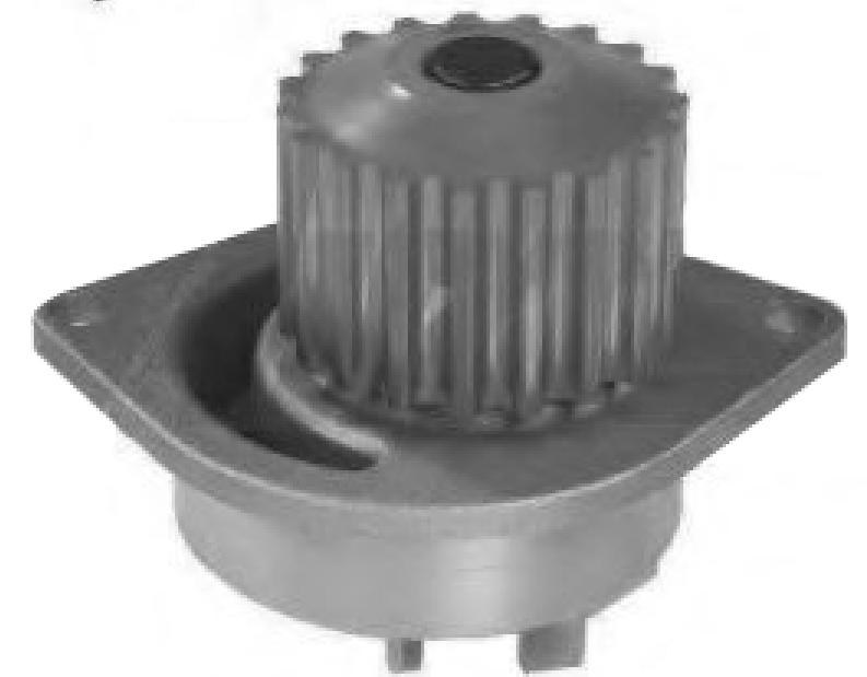 WATER PUMP SHW-028 1609314380 FOR CITROENSAXO