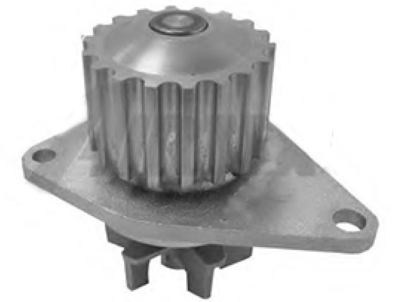 WATER PUMP SHW-029 1201-G2 FOR CITROEN