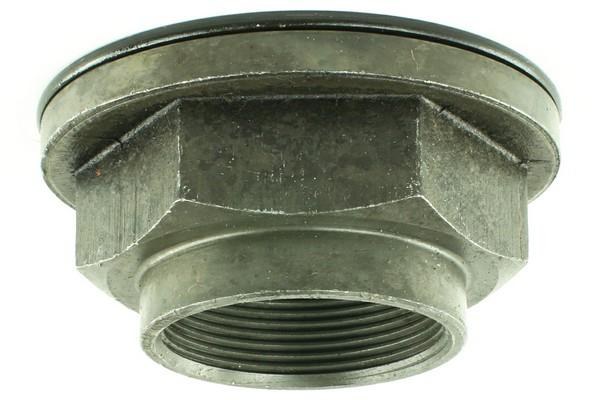 HUB NUT 504166180 FOR IVECO