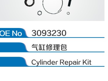 Cylinder Repair Kit 3093230 For Volvo/Renault Gearbox